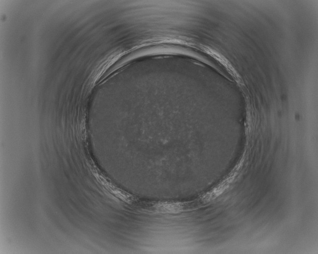 X0000069380977200605150913