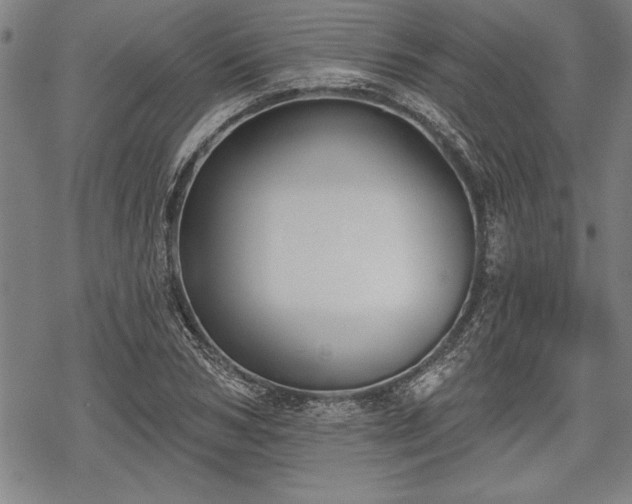 X0000069380978200605150913