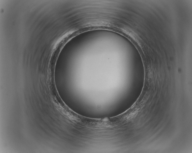 X0000069380979200605150913