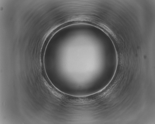 X0000069380980200605150913