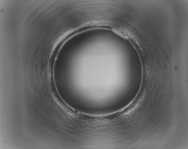 X0000069380981200605150913