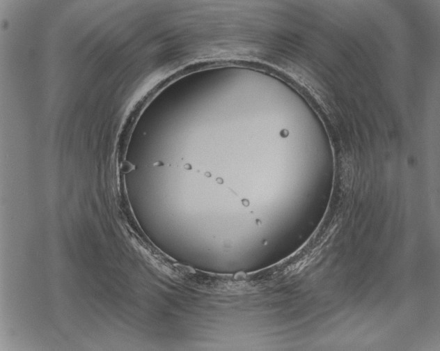 X0000069380982200605150913