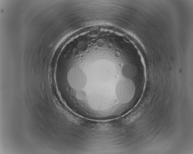 X0000069380983200605150913