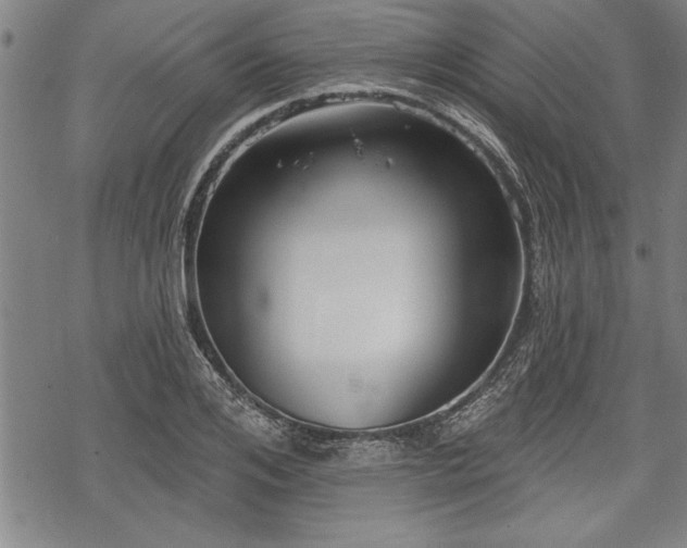 X0000069380984200605150913