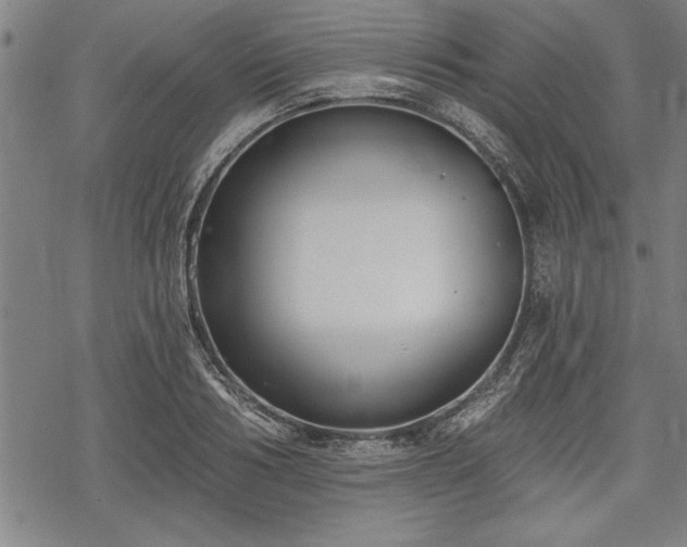 X0000069380986200605150913