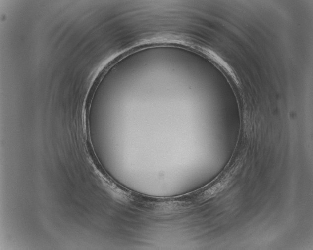 X0000069380988200605150913