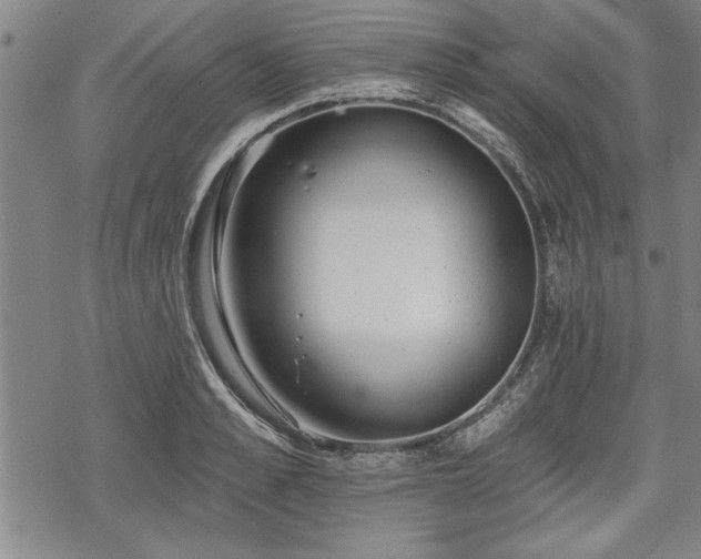 X0000069380989200605150913