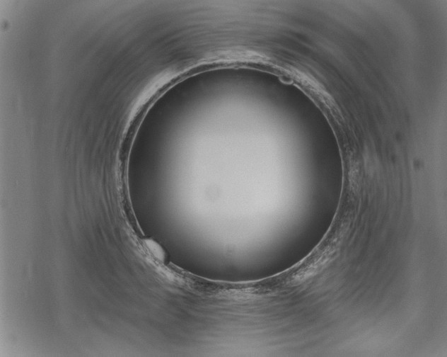 X0000069380990200605150913