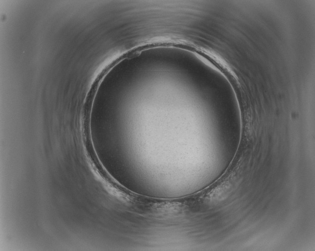 X0000069380991200605150913