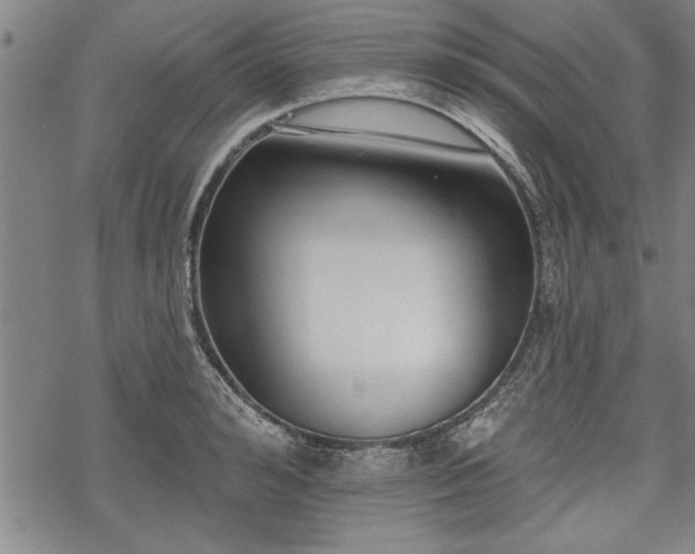 X0000069380992200605150913