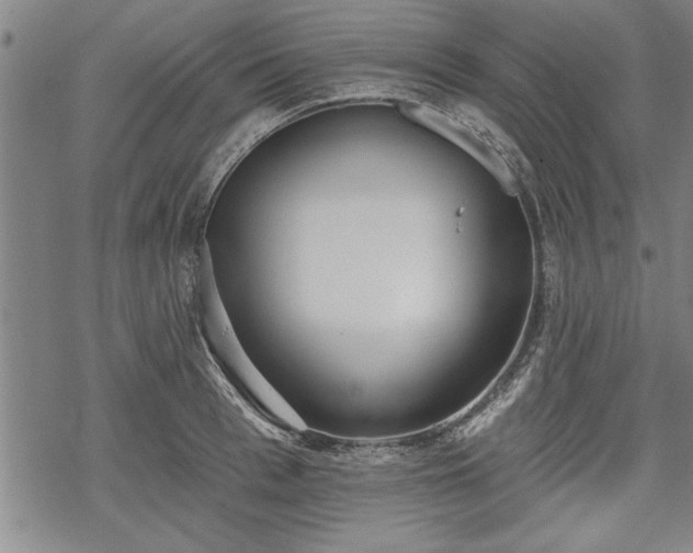 X0000069380993200605150913