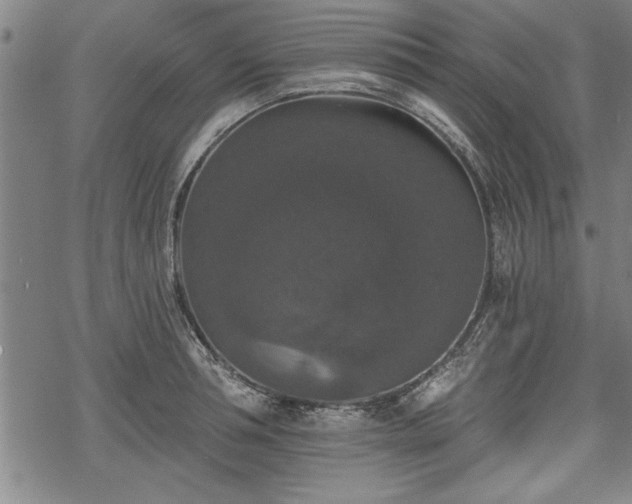 X0000069380994200605150913