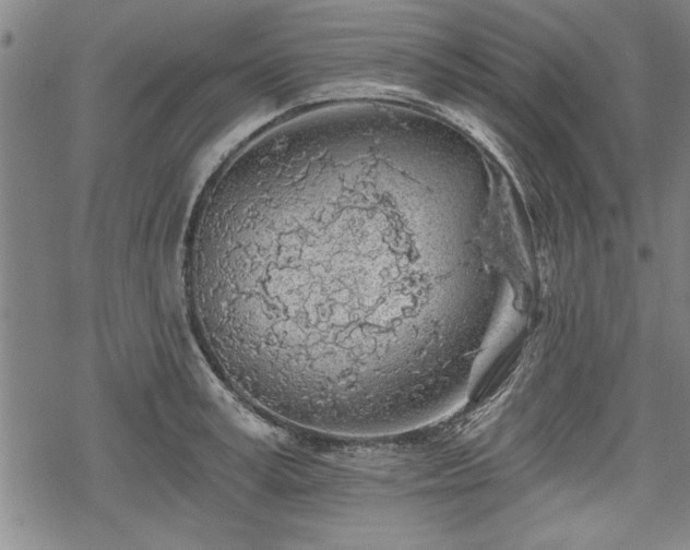 X0000069380995200605150913