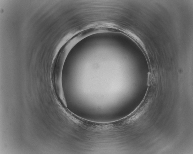 X0000069380997200605150913