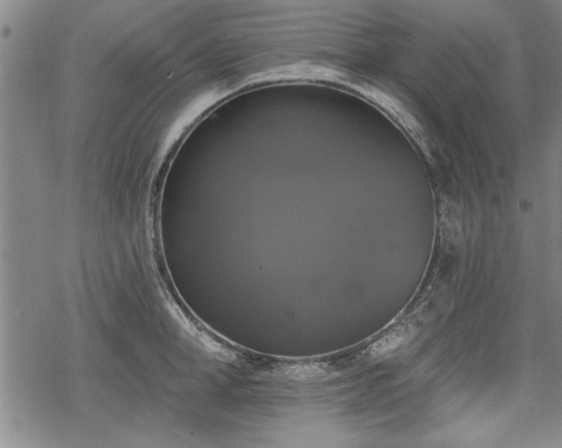 X0000069380998200605150913