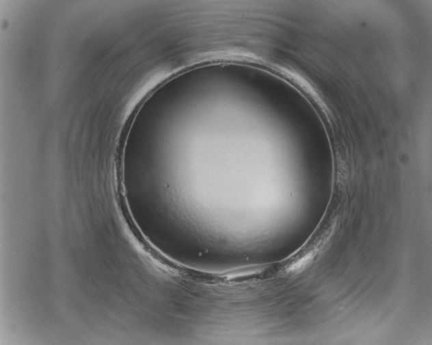 X0000069380999200605150913