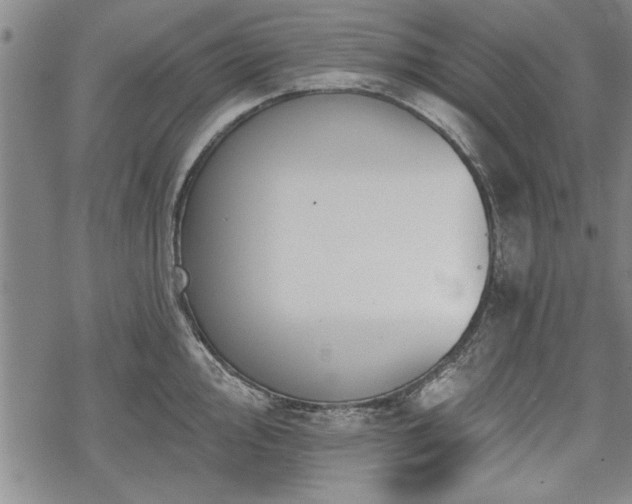 X0000069381000200605150913