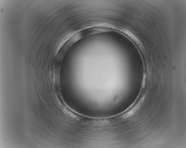 X0000069381001200605150913