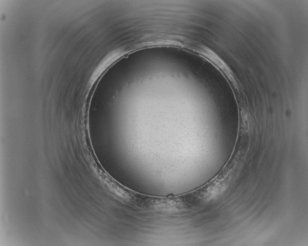 X0000069381002200605150913