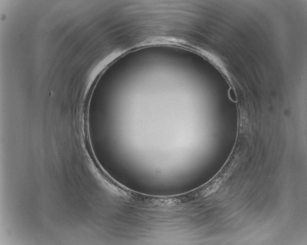 X0000069381003200605150913