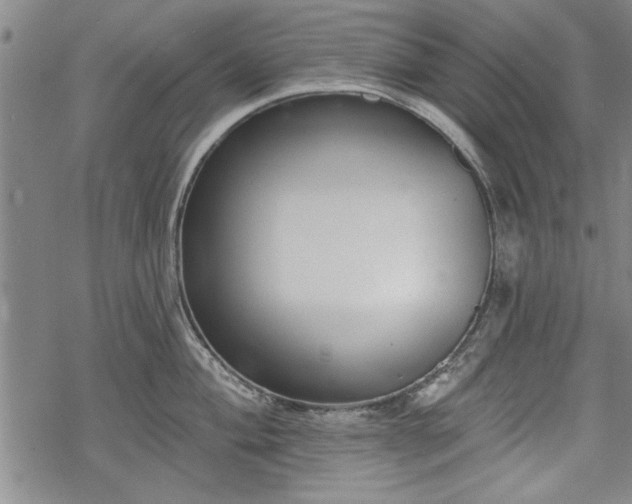 X0000069381004200605150913