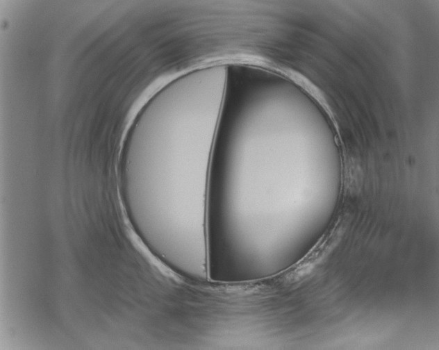 X0000069381005200605150913