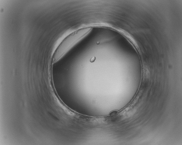 X0000069381006200605150913