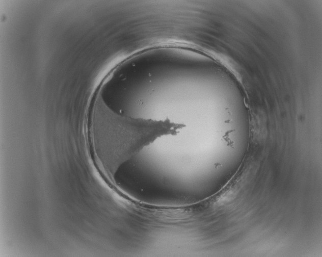 X0000069381007200605150913