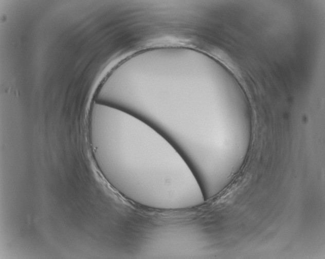 X0000069381008200605150913