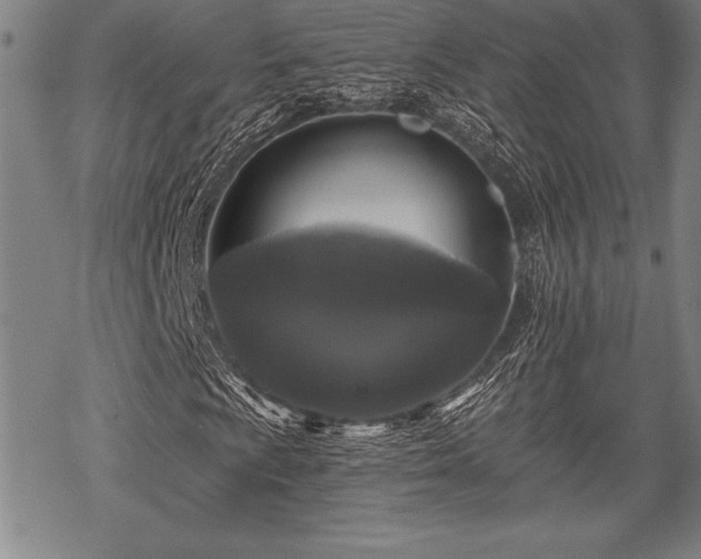 X0000069381009200605150912