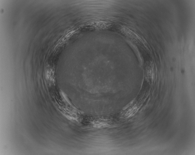 X0000069381010200605150912