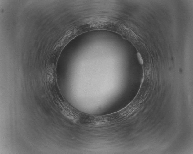 X0000069381012200605150912