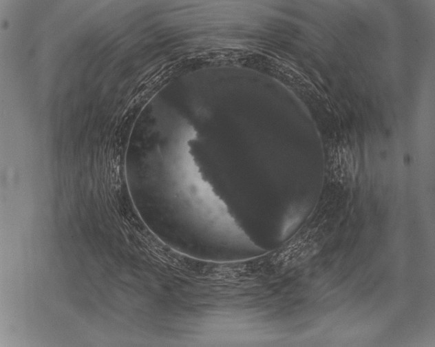 X0000069381013200605150912