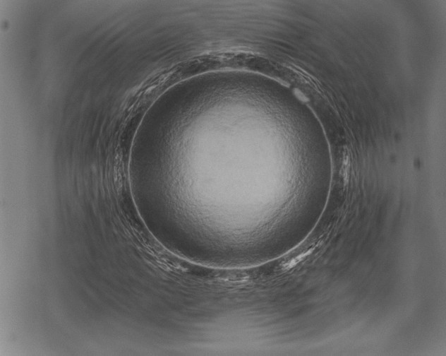 X0000069381014200605150912