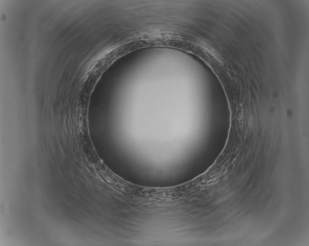 X0000069381016200605150912