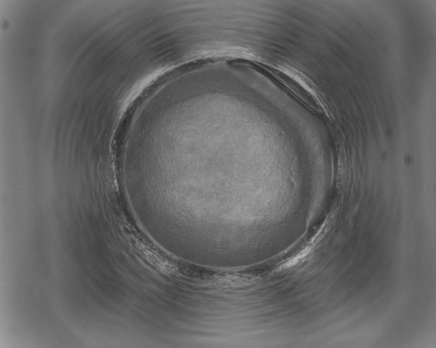 X0000069381022200605150912