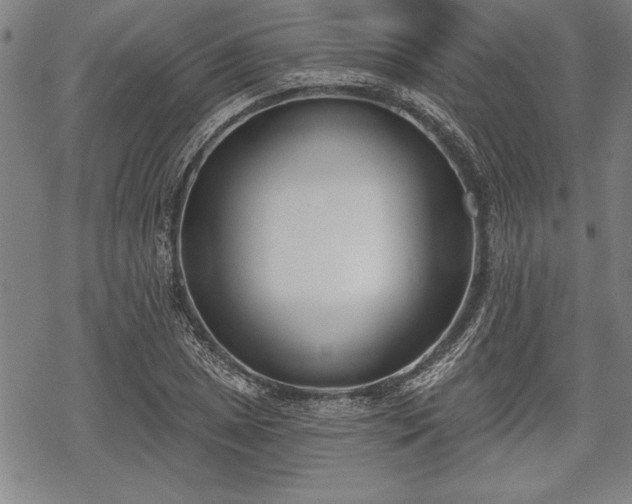 X0000069381025200605150912