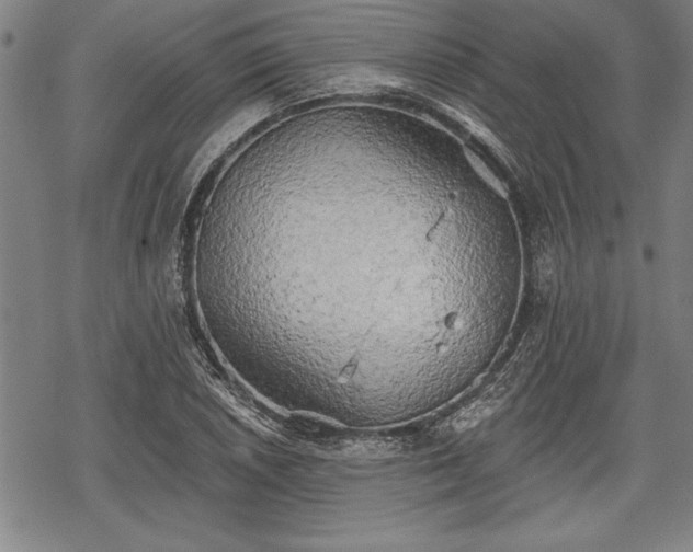 X0000069381026200605150912