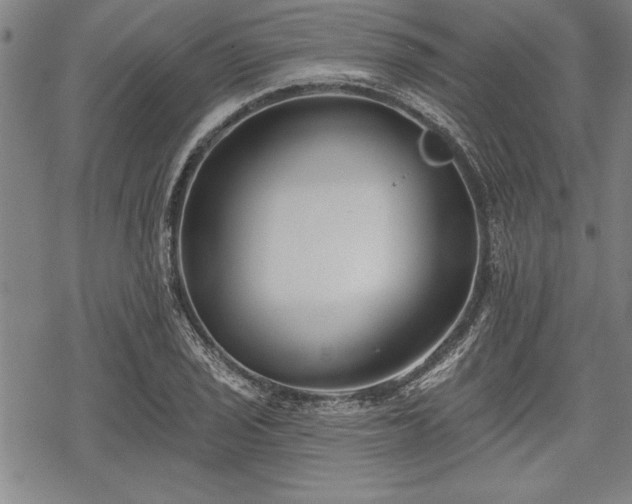 X0000069381029200605150912