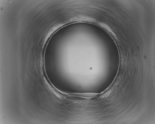 X0000069381040200605150912