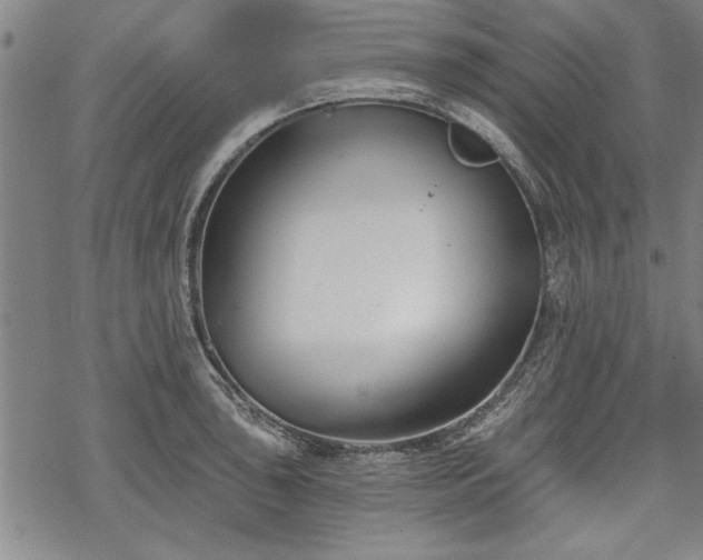 X0000069381043200605150912