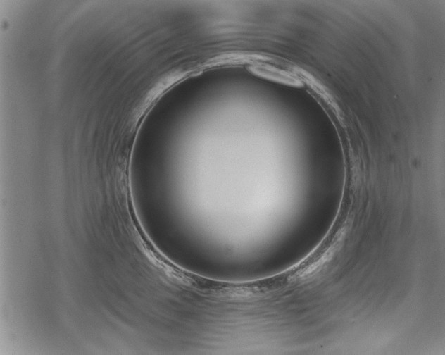 X0000069381049200605150912