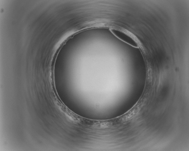 X0000069381051200605150912