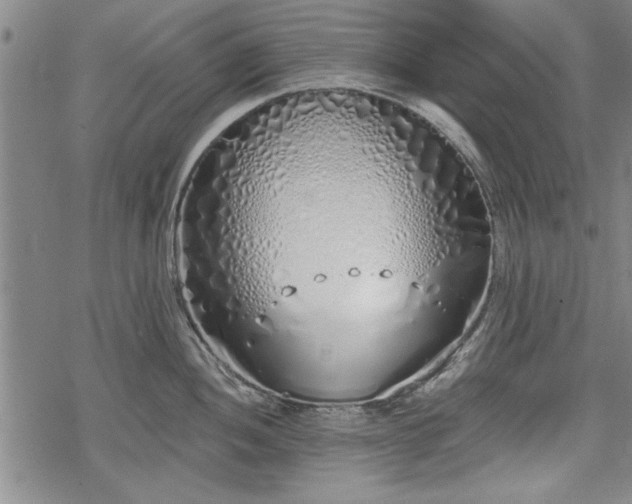 X0000069381052200605150912