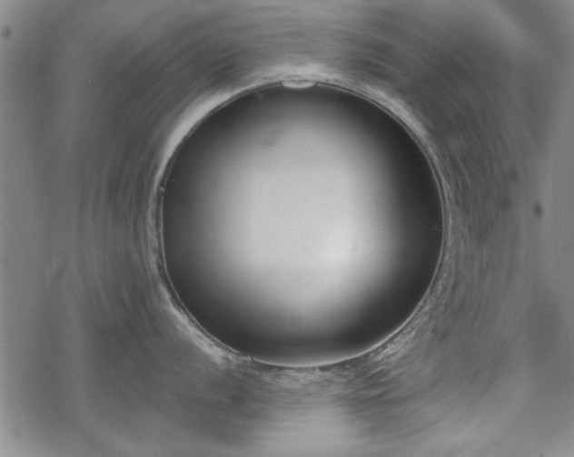 X0000069381056200605150913