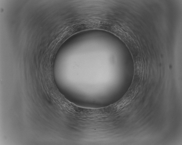 X0000069381057200605150912