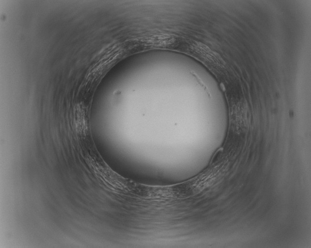 X0000069381058200605150912