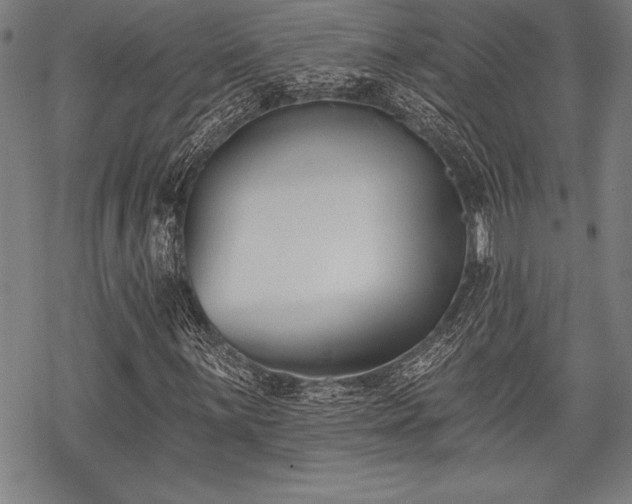 X0000069381059200605150912