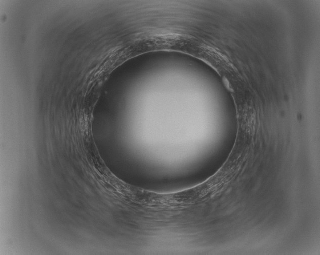 X0000069381061200605150912