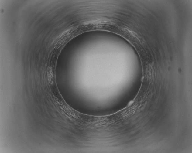 X0000069381062200605150912